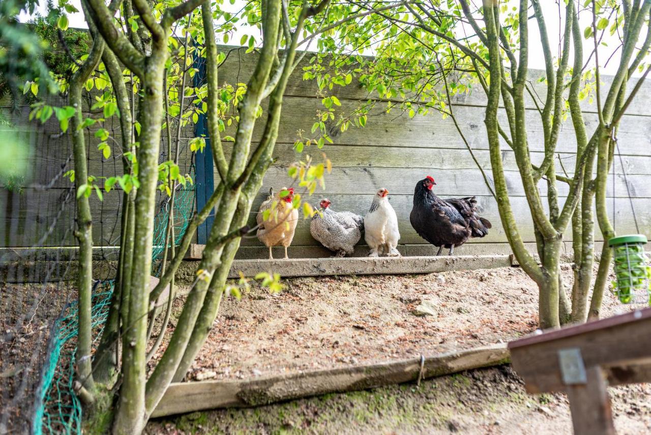 Ferienwohnung Fasse Buhlertal Bagian luar foto