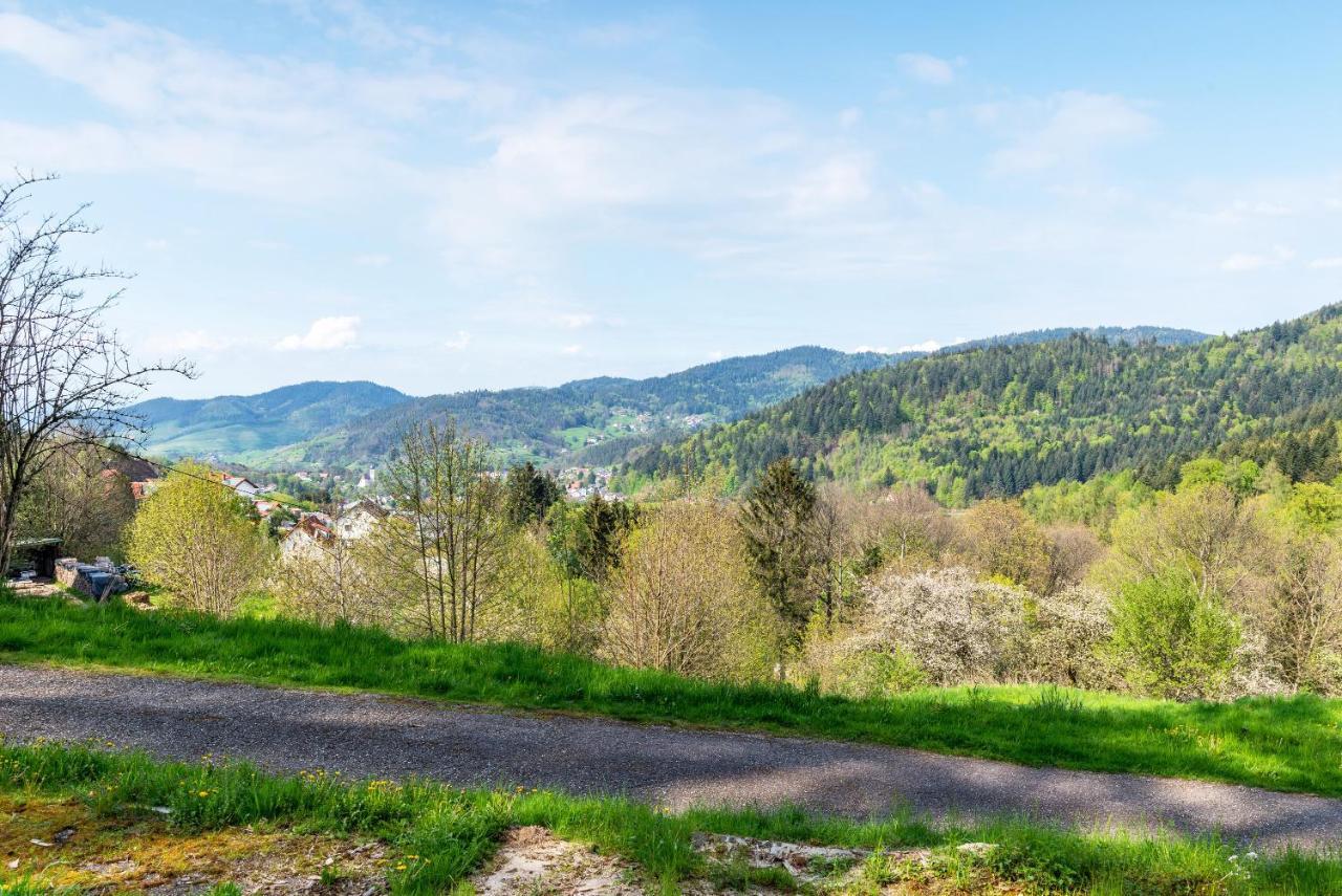 Ferienwohnung Fasse Buhlertal Bagian luar foto