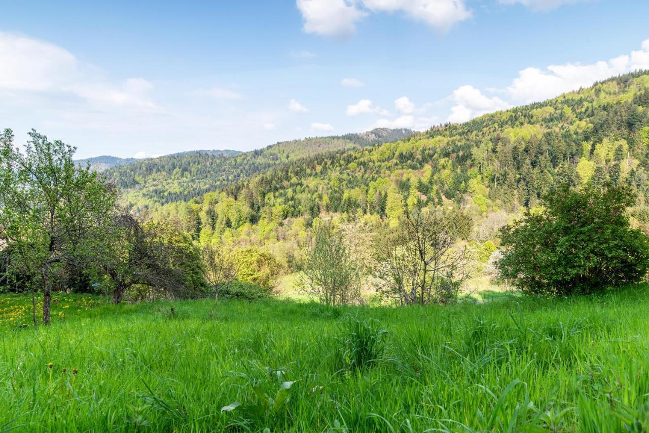 Ferienwohnung Fasse Buhlertal Bagian luar foto